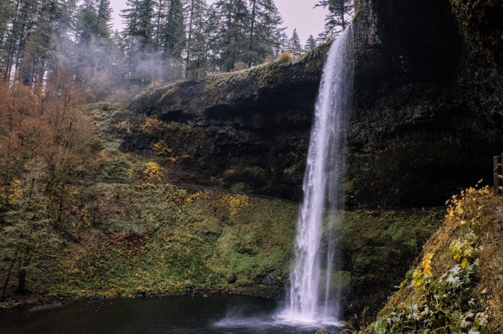 A serene waterfall cascades through a lush forest, surrounded by vibrant trees, highlighting Oregon's natural beauty.