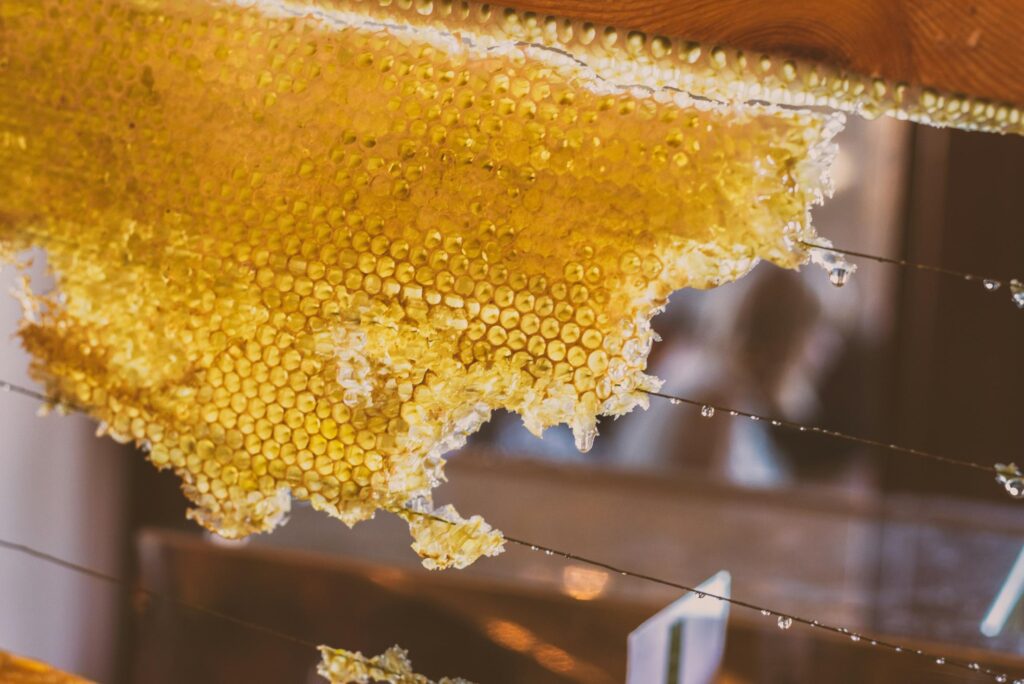 A beekeeper in protective gear holds a wooden frame teeming with honeybees and golden honeycomb. Nearby, a section of raw, crystalline honeycomb hangs from wires, glistening with fresh drops of honey.