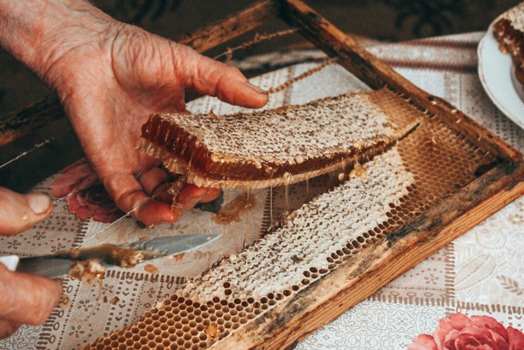Hands carefully lift a thick, dripping slab of honeycomb from a wooden bee frame. Thin strands of golden honey stretch between the wax cells and the frame as the piece is removed.