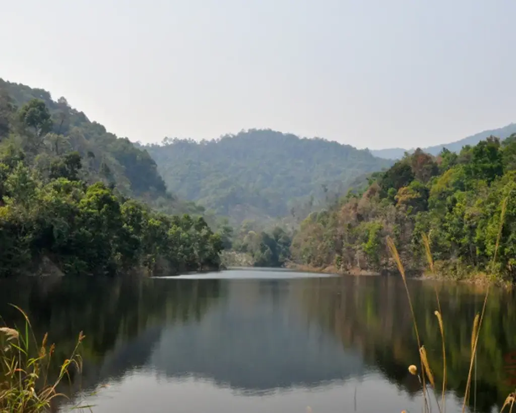 A tranquil lake reflects green forest-covered hills under a clear sky. Tall grasses frame the foreground, evoking a serene and peaceful atmosphere.